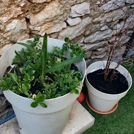 Milin By The Sea-zadar-diklo Apartamento *