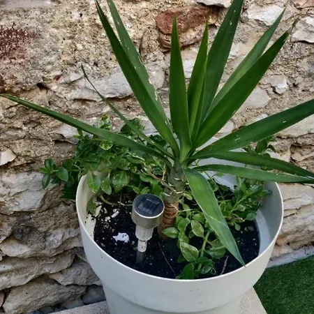 Milin By The Sea-zadar-diklo Apartamento