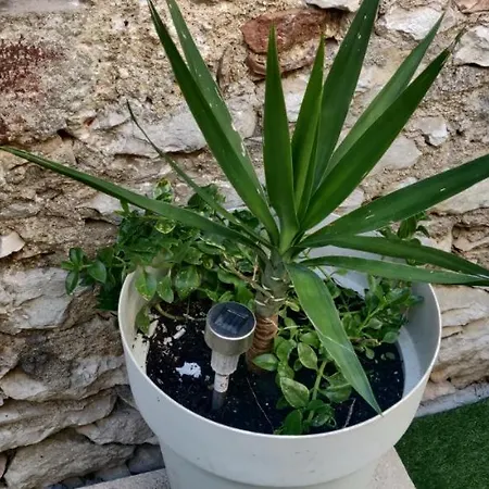 Milin By The Sea-zadar-diklo Apartamento