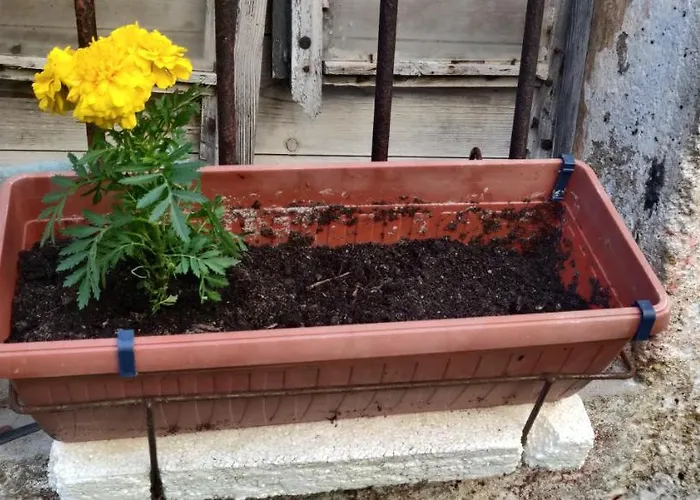 公寓 Milin By The Sea-zadar-diklo *