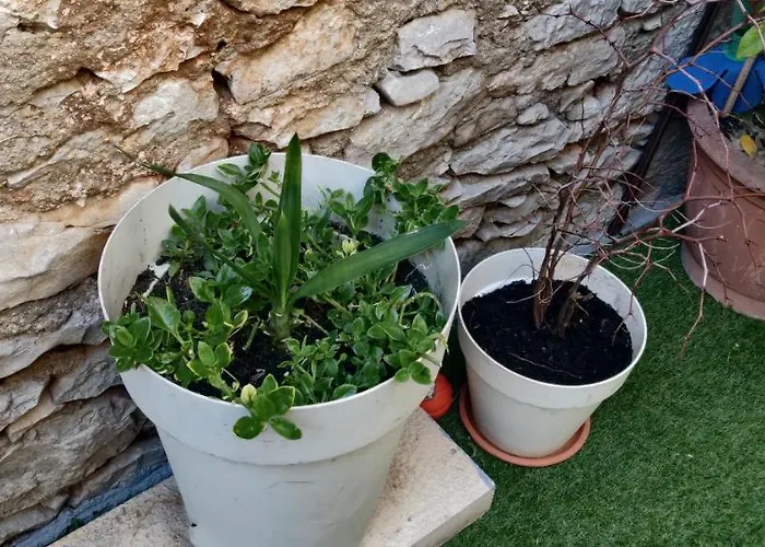 Milin By The Sea-zadar-diklo 公寓 *