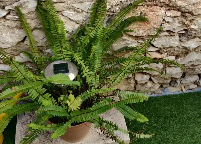 Milin By The Sea-zadar-diklo