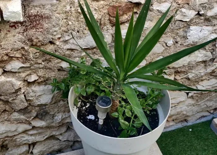 Milin By The Sea-zadar-diklo Lägenhet