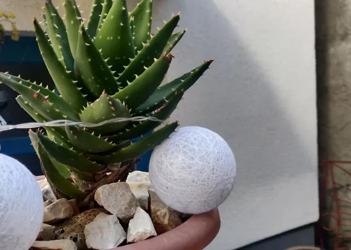 Milin By The Sea-zadar-diklo 扎达尔